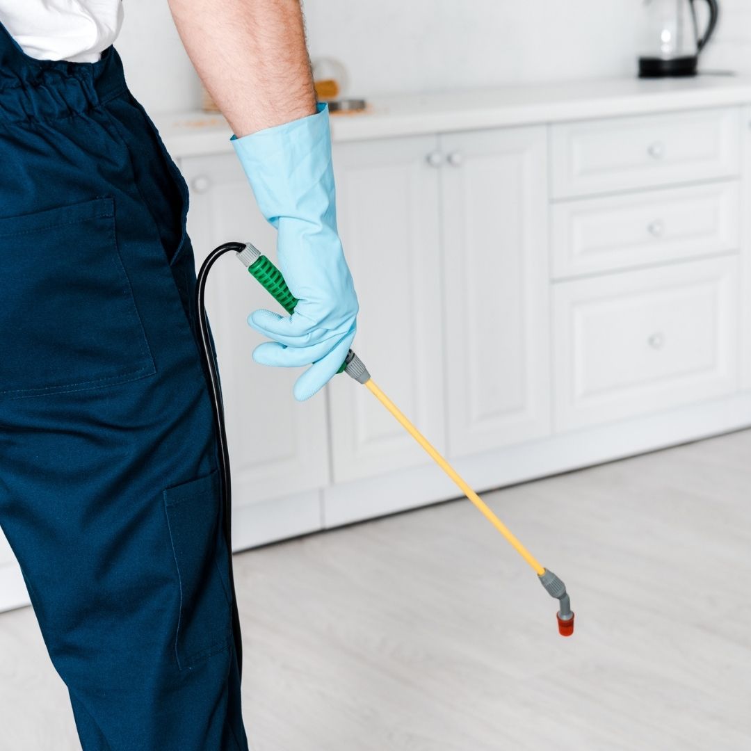 ConvenientPest's tweet image. It is important to contact a trained #exterminator rather than resort to DIY #pestcontrol to ensure the issue is properly taken care of. bit.ly/3vqoo0X