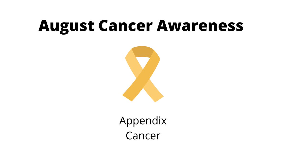 LumeaDigital's tweet image. August is #AppendixCancerAwarenessMonth.

Take time this month to show support for patients with appendix cancer, their dedicated caregivers, loved ones, and medical professionals.

Learn more about #appendixcancer via @AmericanCancer