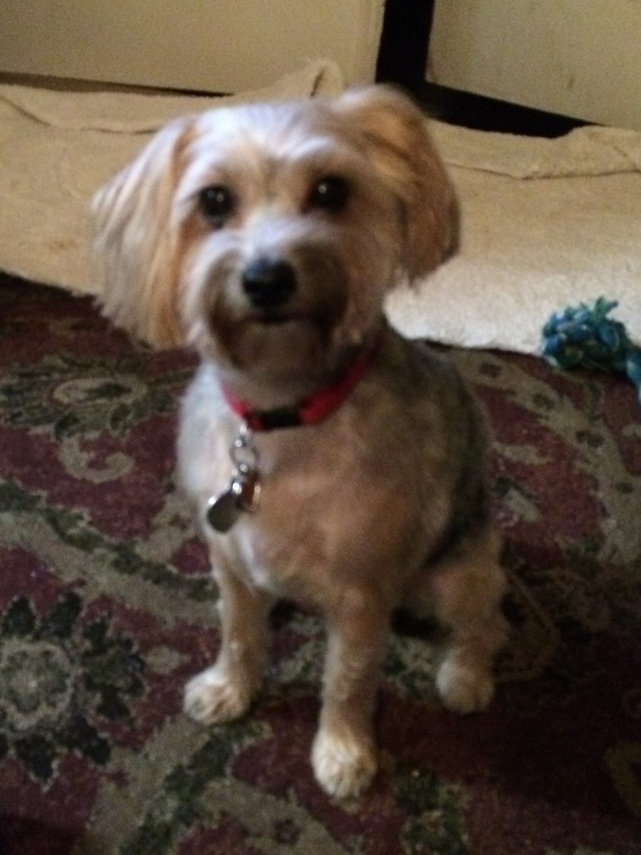 Mrs Jenn Tabron tweet media