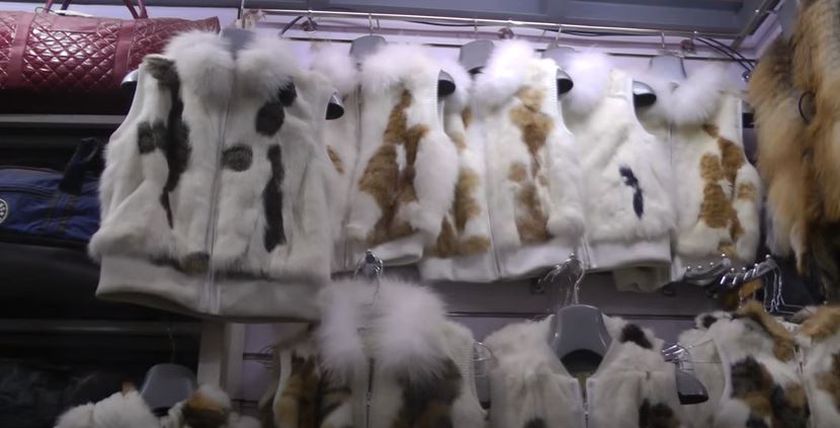 ruben_prz's tweet photo. ROPA CON PIEL DE GATOS Y PERROS 😳

En la UE está prohibida la importación de estos productos pero en numerosos países continúa su compraventa sin problema.

La enésima barbarie del ser humano... https://t.co/ZVtP56JJ9K