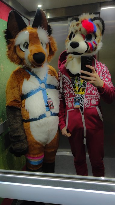 The more the merrier, I was stuck in the elevator with this lovely cheetah :3 Aren't we both lovely?  #FursuitFriday<a href="/tag/fursuit"class="tags"><span>#fursuit</span></a><a href="/tag/fursuitfriday"class="tags"><span>#fursuitfriday</span></a><a href="/tag/fursuiter"class="tags"><span>#fursuiter</span></a>