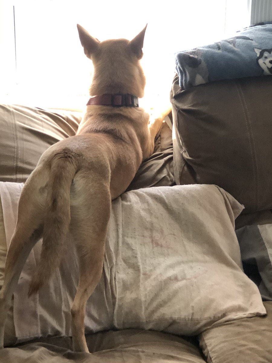 BentleyAudrey's tweet image. Excuse me, Miss. Where did you learn this pose?!?! 🤣