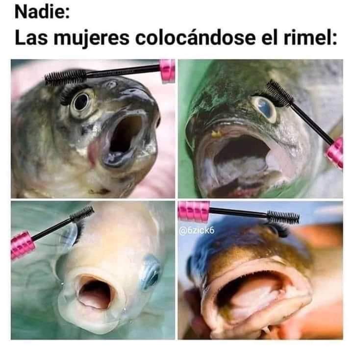 Anabela77's tweet photo. Yo nooooo https://t.co/dgmPK0NEu2