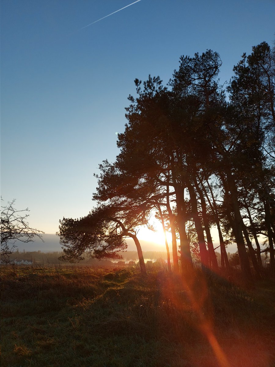 Beautiful light in #Dunblane this afternoon 🌅