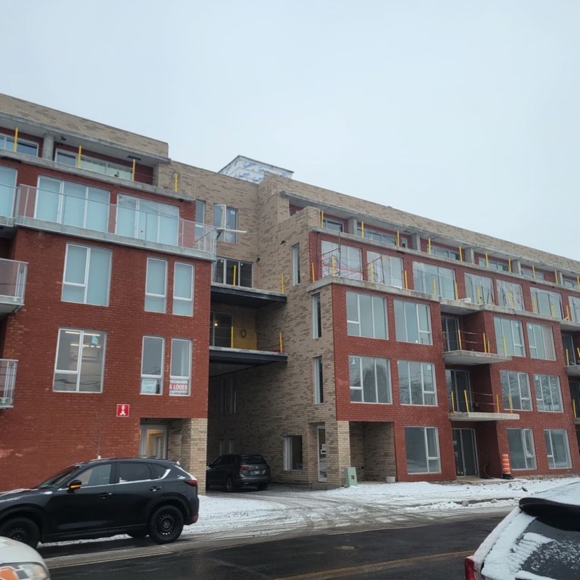 _bramptonbrick's tweet photo. Today’s from the field post is brought to you from Alex Ferland 👍👏

Repost from @alex.bramptonbrick.quebec
•
27 rue St-Louis
Longueuil,Qc

Windsor PRP
Chelsea PRP

#onetrustedsource https://t.co/vFTxBCK9nQ