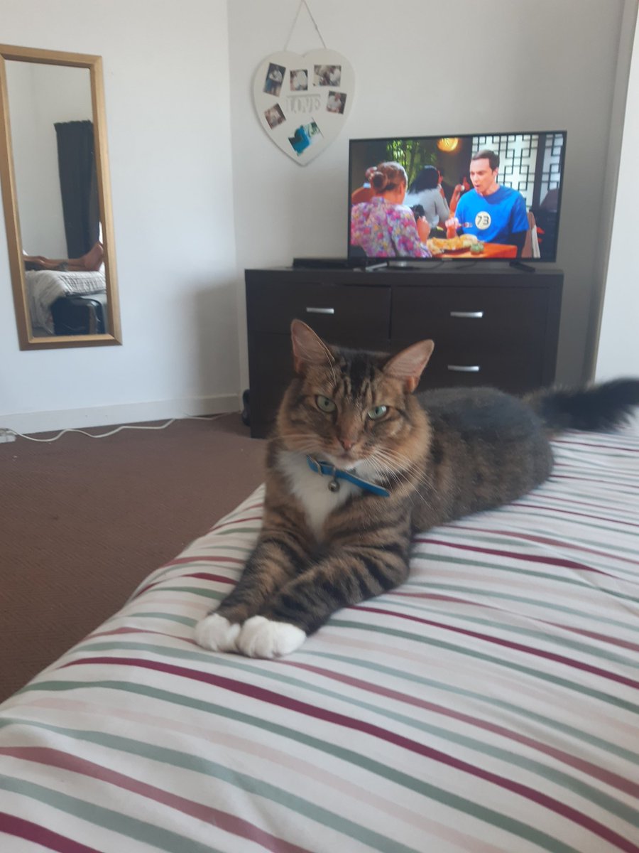 Should I be worried? She has been staring at me like this for the past 20 mins...