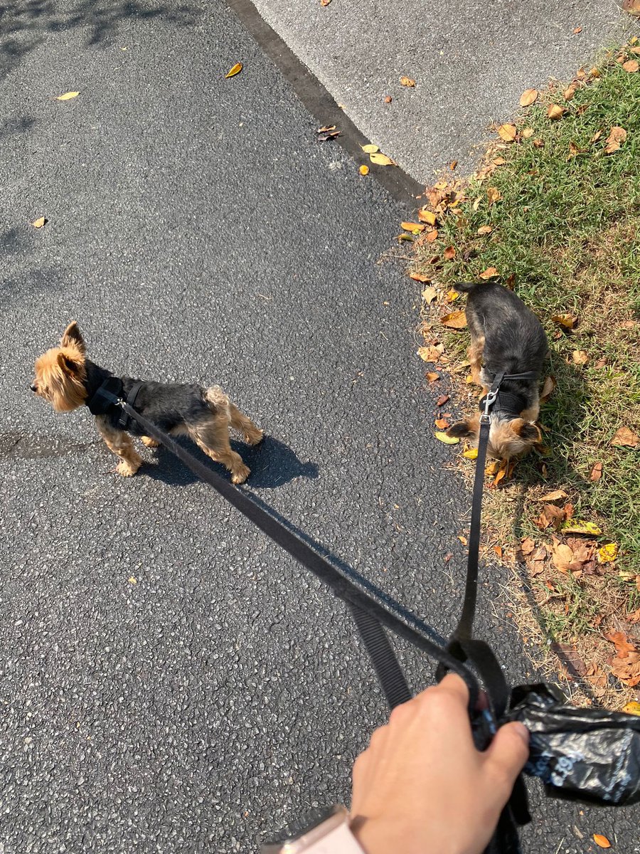 Take advantage of this moment when the sun takes you out and enjoys it.