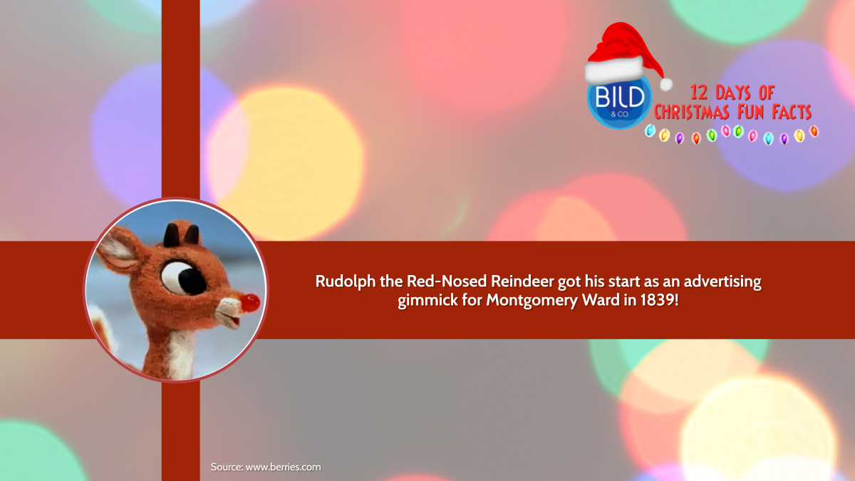 Bild and Company tweet media