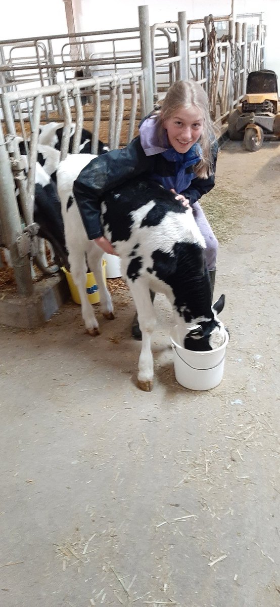 HubertHeeg's tweet photo. @ClarkAgri Hard to find good help.
#12daysofclarkmas https://t.co/kMNteEiV3u