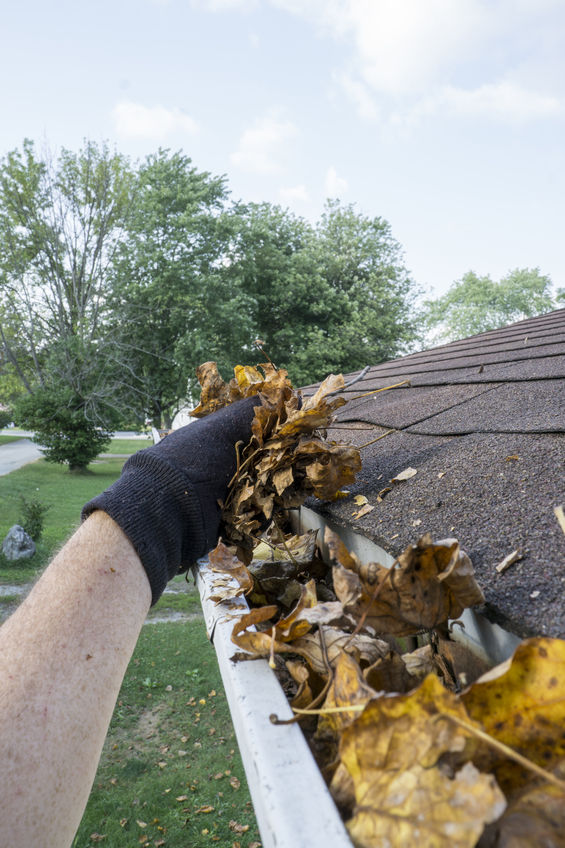 LanoixInsurance's tweet image. Cleaning gutters now will prevent a host of winter problems: bobvila.com/slideshow/11-w…