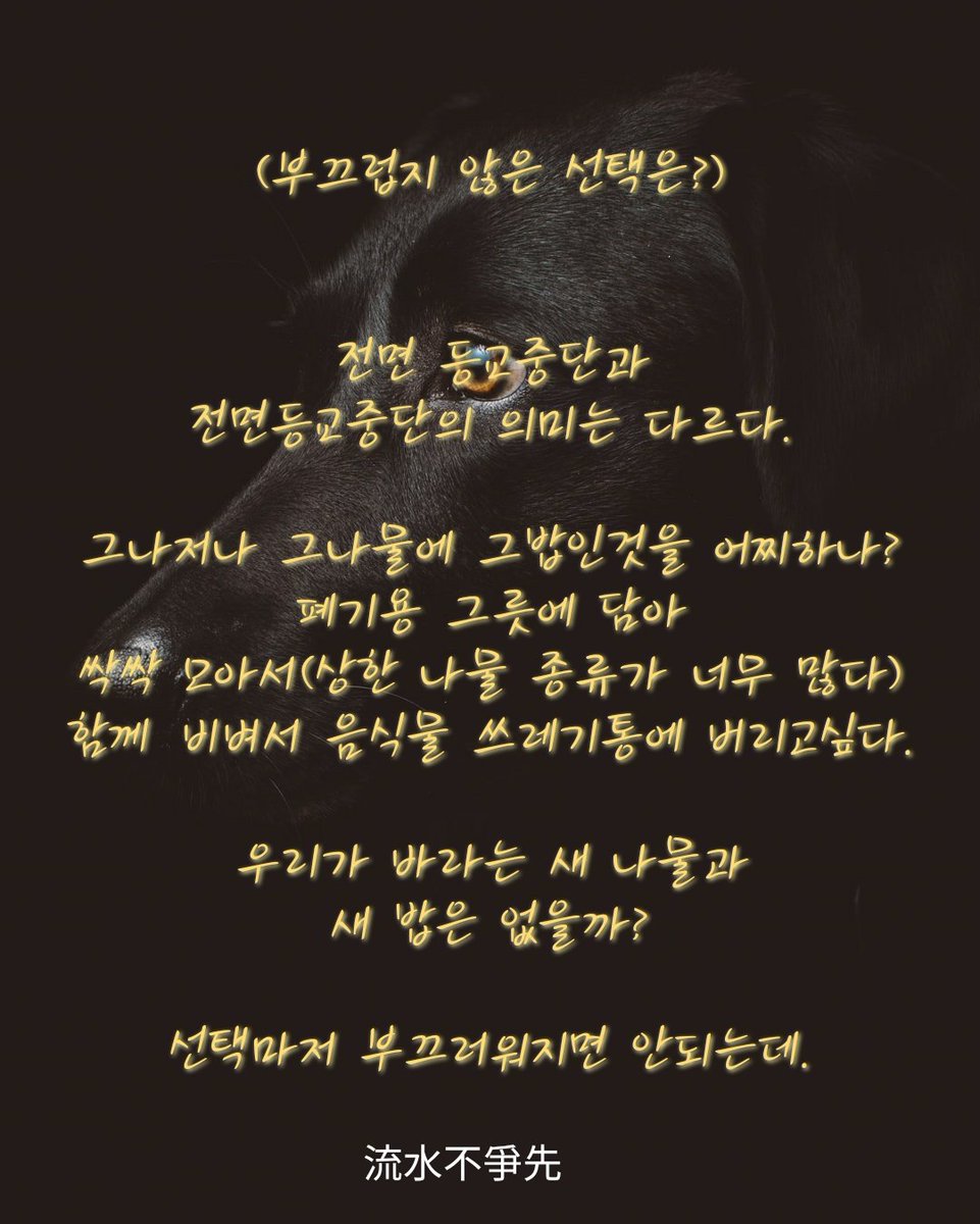 Kim Min (@kimmin15123393) on Twitter photo 