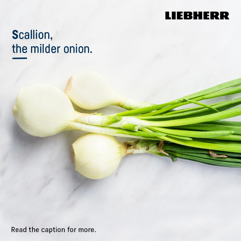 LiebherrHomeIN's tweet photo. You either use it as a garnish in your fried rice, or you use it as the dish itself in scallion pancakes; the use of spring onions is varied!
#LiebherrAppliancesIndia #LoveFoodLoveLiebherr #GermanTechnology #SpringOnion #Scallions #PreservationExperts #EasyFreshTechnology https://t.co/VLklD9kp2F