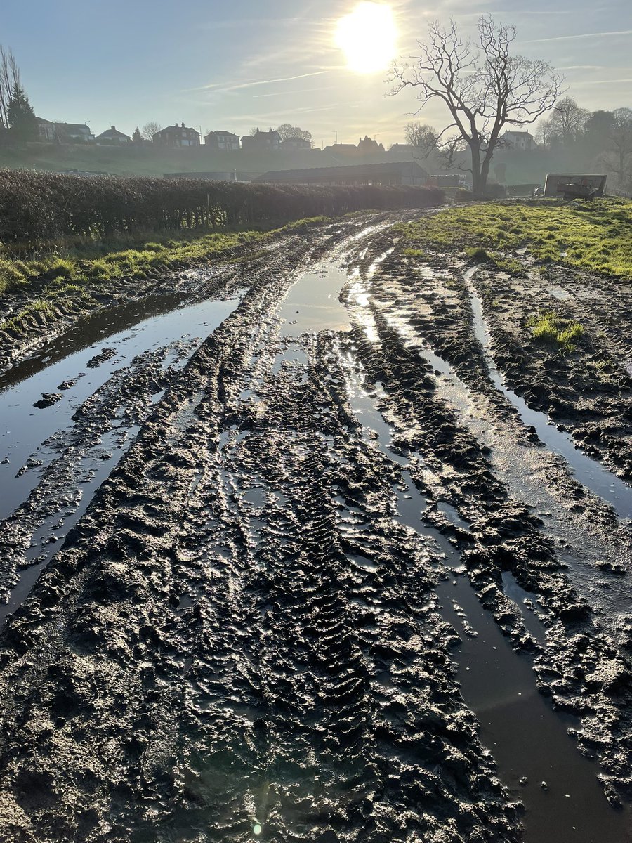 Daveconway123's tweet photo. Odd few days
Getting back to normal, so here’s some #MuddyPaths for you https://t.co/73V1n7VzQR