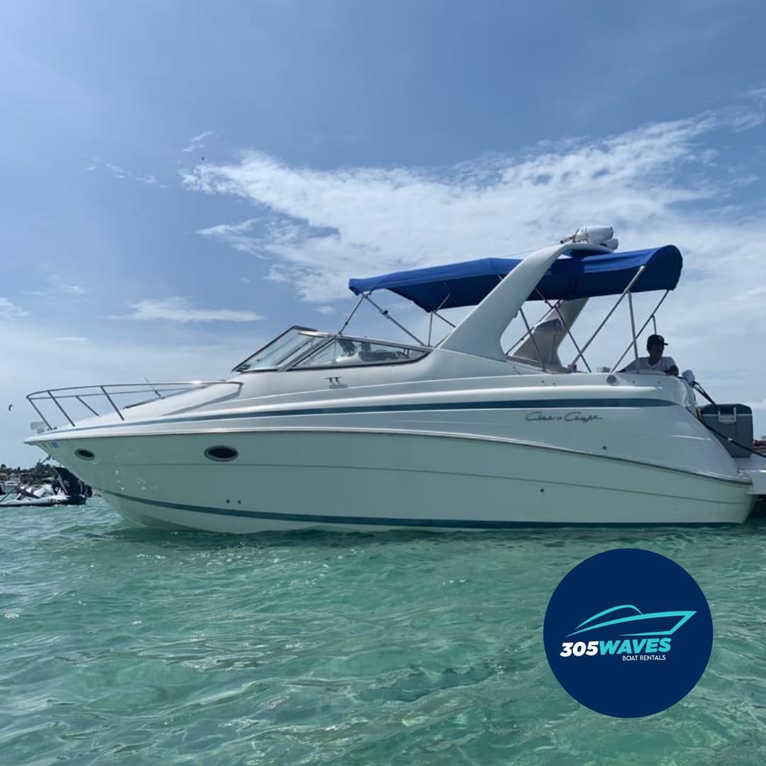 305waves's tweet photo. ⛵In this Sea Ray 35ft we will take you to that place we know you are happy 😁
.
.
.
#305waves #yacht #miamirides #sealover #family #friends #miamiboatrentals #charters #renta #rentaboatmiami #boatrentals #miamistadium #haulovernudebeach #sandbarmiami https://t.co/DfRVFM71MU