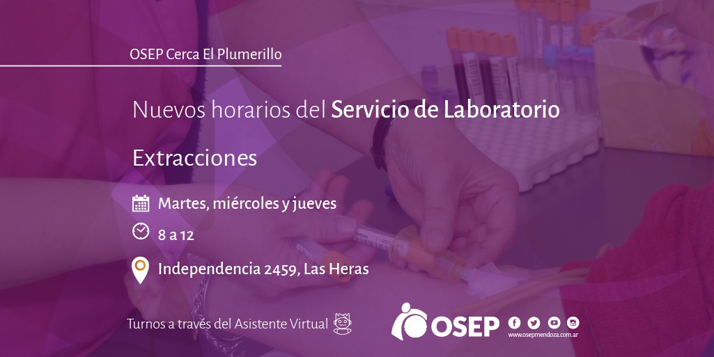 OsepMza's tweet photo. Ampliamos la atención en el Servicio de #Laboratorio de #OSEPCerca #ElPlumerillo 🔬👇
https://t.co/JWt8Y2HbAN https://t.co/SMvWRsiQn1