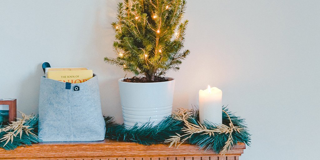 El color Gris Hielo de la gama Biosostenible hace invierno, y el invierno nos lleva a disfrutar más a fondo de nuestra casa. Llena tu hogar de energía con los colores 9 colores de tendencia de Biosostenible ❄️