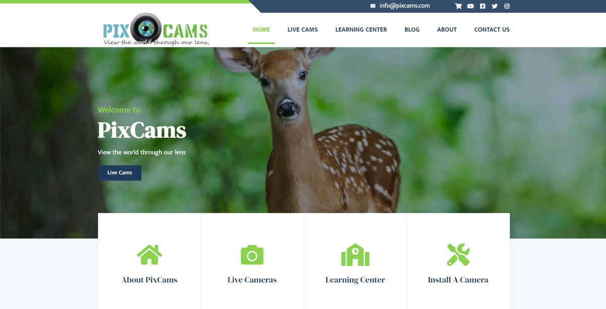 PixCams's tweet photo. Today is an exciting day for us here at PixCams, because today our NEW website is finished, and ready for YOU, the viewers!

https://t.co/kfhg30wFaj

#pixcams #livecams #baldeagles #birds #new https://t.co/4E7MeP74gP