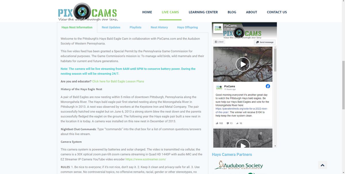 PixCams's tweet photo. Today is an exciting day for us here at PixCams, because today our NEW website is finished, and ready for YOU, the viewers!

https://t.co/kfhg30wFaj

#pixcams #livecams #baldeagles #birds #new https://t.co/4E7MeP74gP