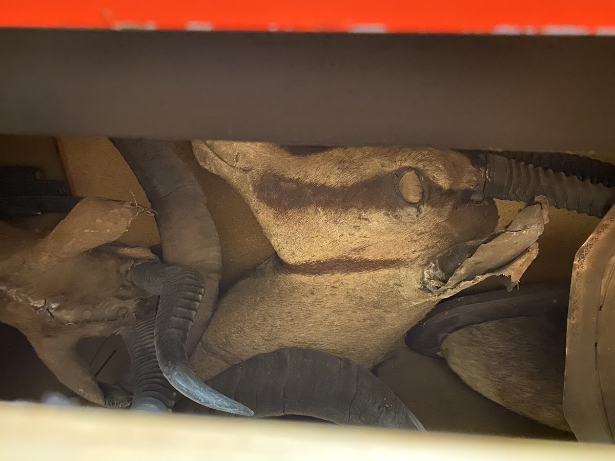 Amanda Rosewarne tweet media