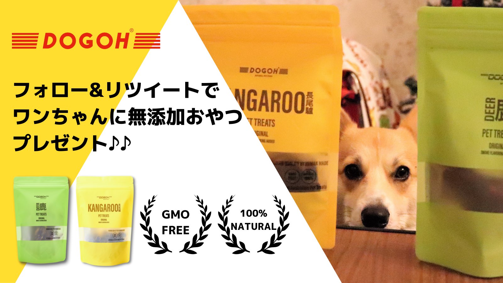 Dogoh ドゴー 無添加犬用おやつ Dogoh Jp Twitter