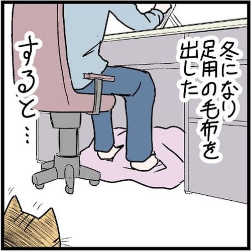毛布を出したら猫が来た、そして…… 一緒にポカポカ、冬の偉大な"猫の恩恵"を描いた漫画に共感続々 https://t.co/flXMdm0arr @itm_nlabより