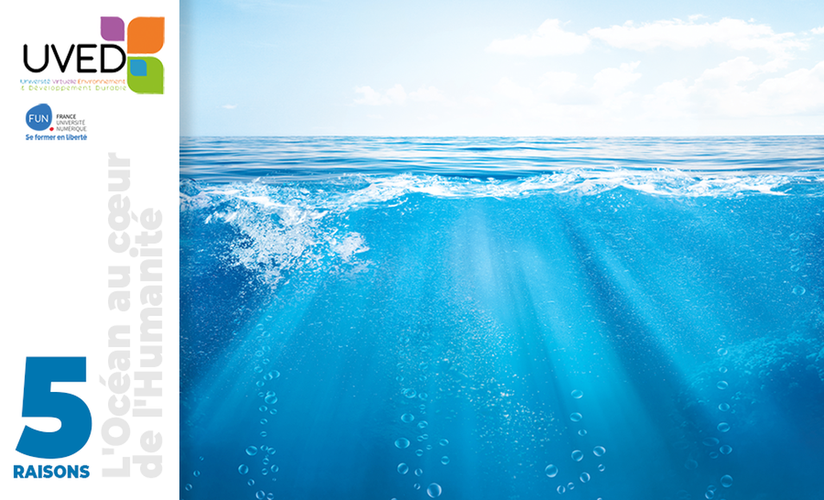 FunMooc's tweet photo. 5 raisons de suivre le #CoursEnLigne "L'#Océan au cœur de l'Humanité" de @UntUved ! 🌊
#Raison3 : Vous rendre acteur de sa préservation > le #changementclimatique menace son fonctionnement qui nous est pourtant essentiel : https://t.co/VMx4X4lhqX https://t.co/xazwsOwi8N