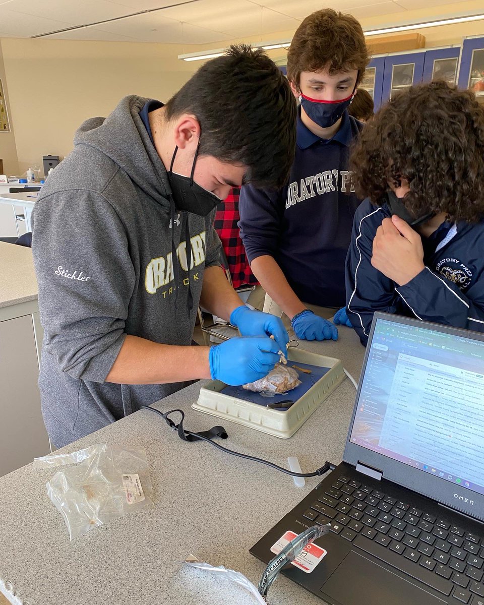 OratoryPrep's tweet photo. Dr. Acquadro’s anatomy and physiology class dissected a sheep brain yesterday! #dissectionlab https://t.co/VTi4AElJEs