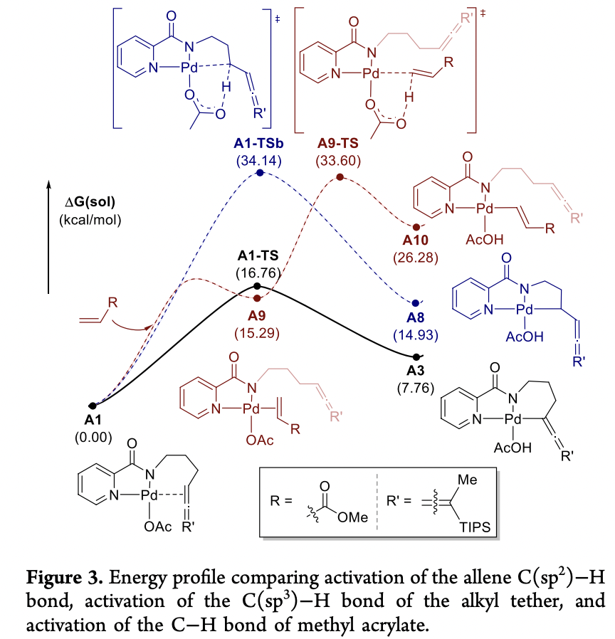 Allene C(sp2)–H Activation and Alkenylation Catalyzed by Palladium by Benedikt S. Schreib, <a href="/Mina_Son_/">Mina</a>, @francoiseaouane, Mu-Hyun Baik <a href="/baikkaist/">Baik Group</a>, and Erick M. Carreira <a href="/CarreiraGroup/">CarreiraGroup</a> in <a href="/J_A_C_S/">J. Am. Chem. Soc.</a> pubs.acs.org/doi/10.1021/ja…