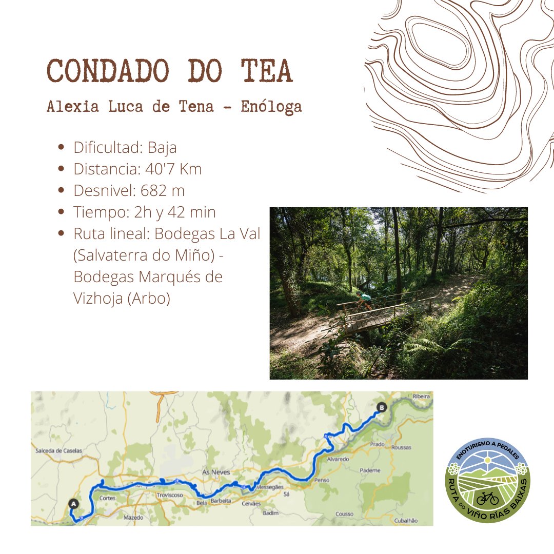 RVRiasBaixas's tweet photo. Las subzonas #CondadodoTea y #ORosal son aunténticas maravillas para disfrutar del enoturismo a pedales 🚴
Pedalear entre viñedos, recorrer la ribera del Río Miño y finalizar con la cata de un buen Albariño DO Rias Baixas. Suena bien, ¿a que sí? 🍷😉 https://t.co/YtOpmUDN6L