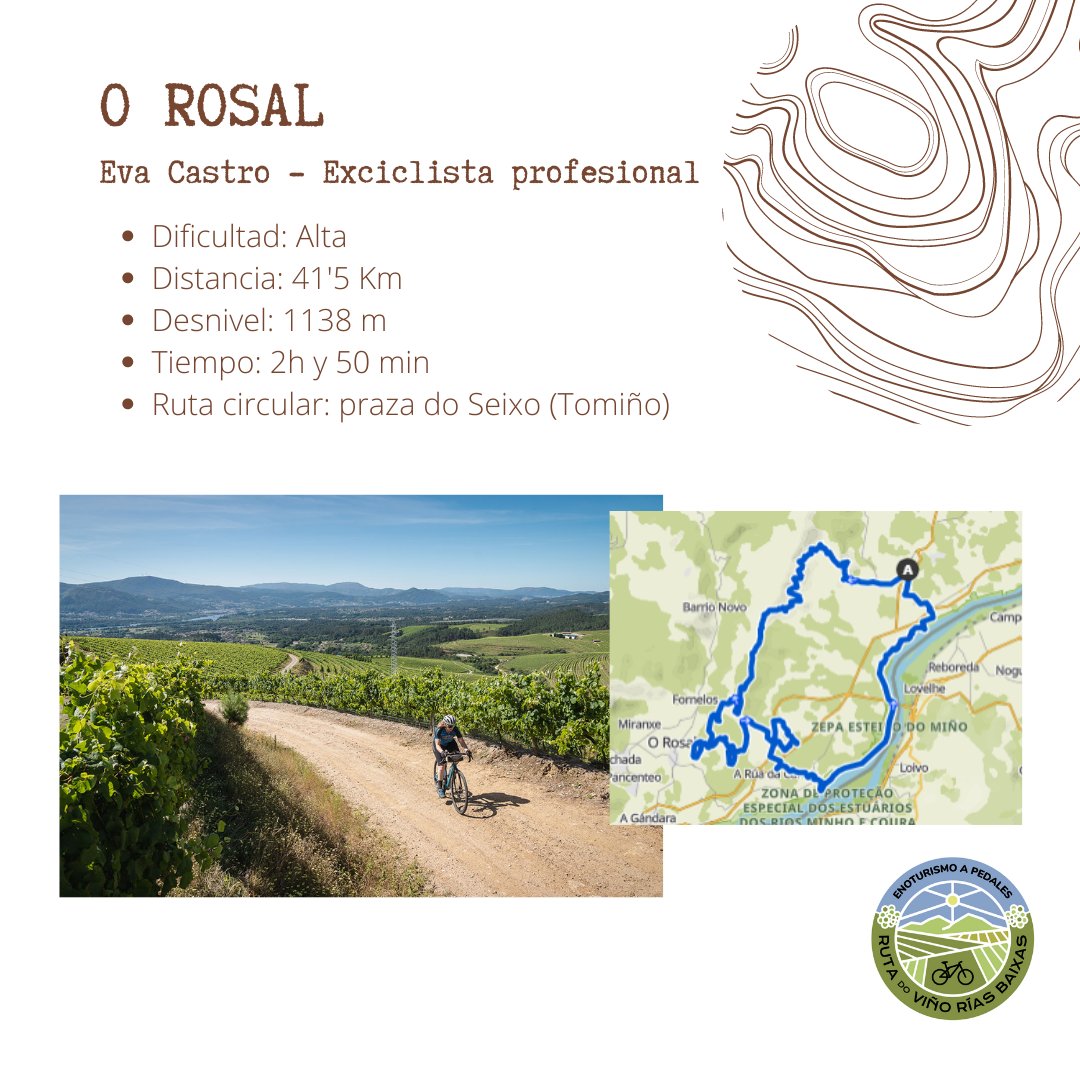 RVRiasBaixas's tweet photo. Las subzonas #CondadodoTea y #ORosal son aunténticas maravillas para disfrutar del enoturismo a pedales 🚴
Pedalear entre viñedos, recorrer la ribera del Río Miño y finalizar con la cata de un buen Albariño DO Rias Baixas. Suena bien, ¿a que sí? 🍷😉 https://t.co/YtOpmUDN6L