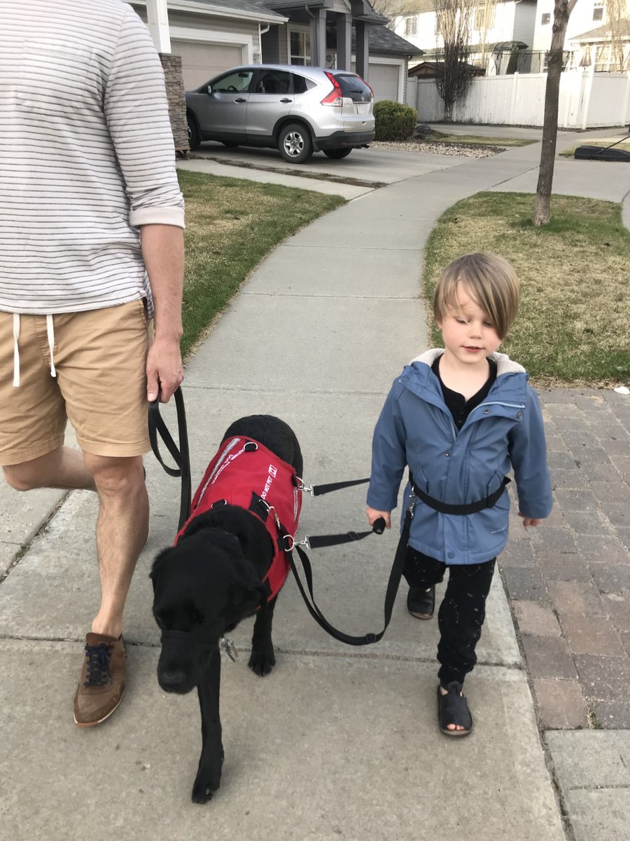 LFCDogGuides's tweet photo. #OnAPawsitiveNote- Jones &amp; Cynder 
“Shortly after Jones and #LFCDogGuide Cynder were matched, Jones’ language began to expand rapidly” says Chelsea, Jones’ mom. “We also became less anxious about Jones’ safety. To read more about the two of them, visit our FB or Instagram. https://t.co/sp8xs2WCTM