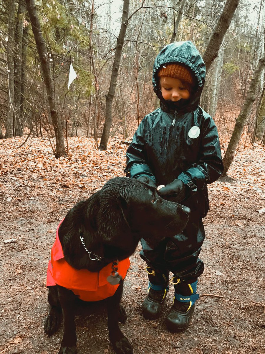 LFCDogGuides's tweet photo. #OnAPawsitiveNote- Jones &amp; Cynder 
“Shortly after Jones and #LFCDogGuide Cynder were matched, Jones’ language began to expand rapidly” says Chelsea, Jones’ mom. “We also became less anxious about Jones’ safety. To read more about the two of them, visit our FB or Instagram. https://t.co/sp8xs2WCTM