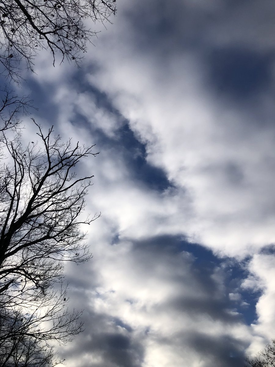 CDanaherH's tweet image. No way I can say
what my poems mean,
the meaning’s incomplete 
till the reader reads,
#implies 
what I meant to write.

#vsspoem
#poem
#imply