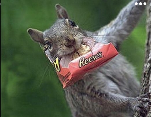 EileenPCarry's tweet photo. We’re instilled w/rights w/i constitutional boundaries .. “to the ‘pursuit’ of #happiness”, however intermittent. It is up to us to see that this is a half-#truth. Happiness is eating chocolates.
#Joy is the real #treasure. Do what you #love while eating chocolates.
#Thinkvast https://t.co/n1bOllUZV1