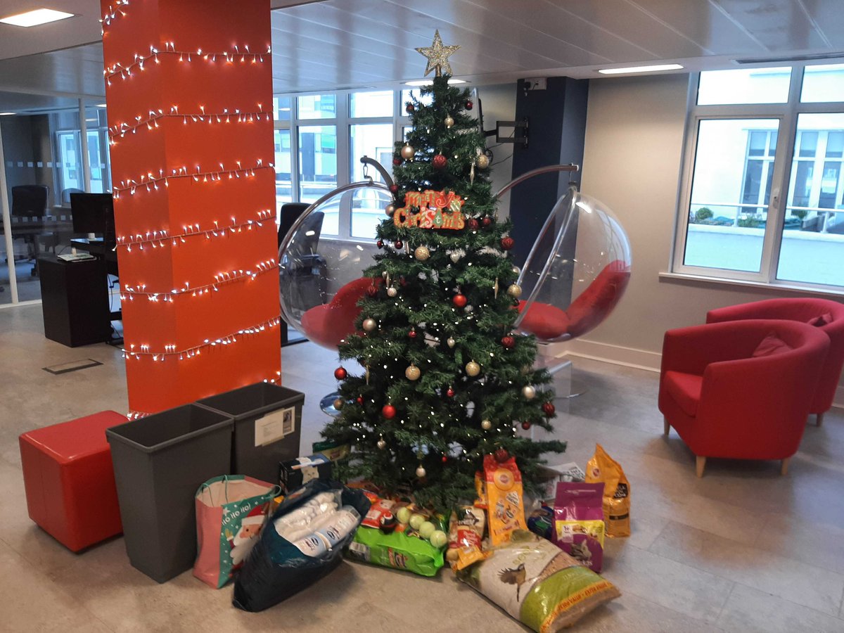 We love how we do Christmas at the RED group! Coming together to help others in our community at this time is a tradition🎄❤️

Here we have our UK office wrapping and delivering presents for the wonderful <a href="/anhourforothers/">An Hour for Others</a> and donations for the <a href="/Freshfieldsresc/">Freshfields</a> 👏🙌