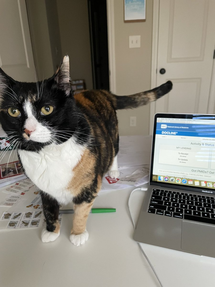LibrarianLizy's tweet photo. Extremely helpful #Docline cat. #medlibs https://t.co/w4UoxLLMFL