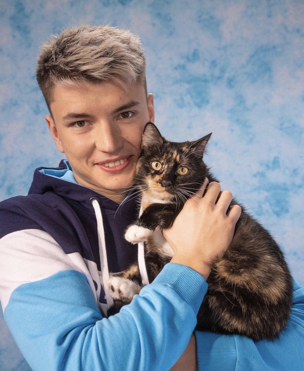 котики держат котиков🥺❤