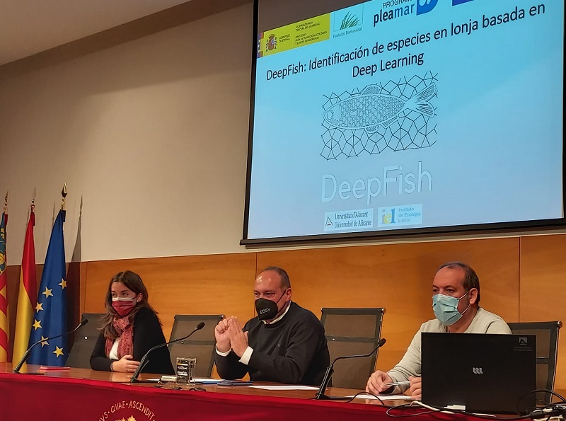 IPesqueras's tweet photo. #Investigación | El proyecto #Deepfish de la  @UA_Universidad  crea una herramienta de identificación y tallaje de peces

https://t.co/dG5uhIXhqn https://t.co/rwr0KGQp6N
