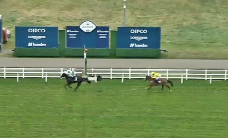 Brave Seasca makes it again 🥇🏆🤩! Fantastic rate for our sire Brave Mansonnien ! <a href="/HarasdeBuzancy/">Haras de Buzancy</a> #TheBlueSpirit <a href="/SeanTiernan2/">Sean Tiernan</a>