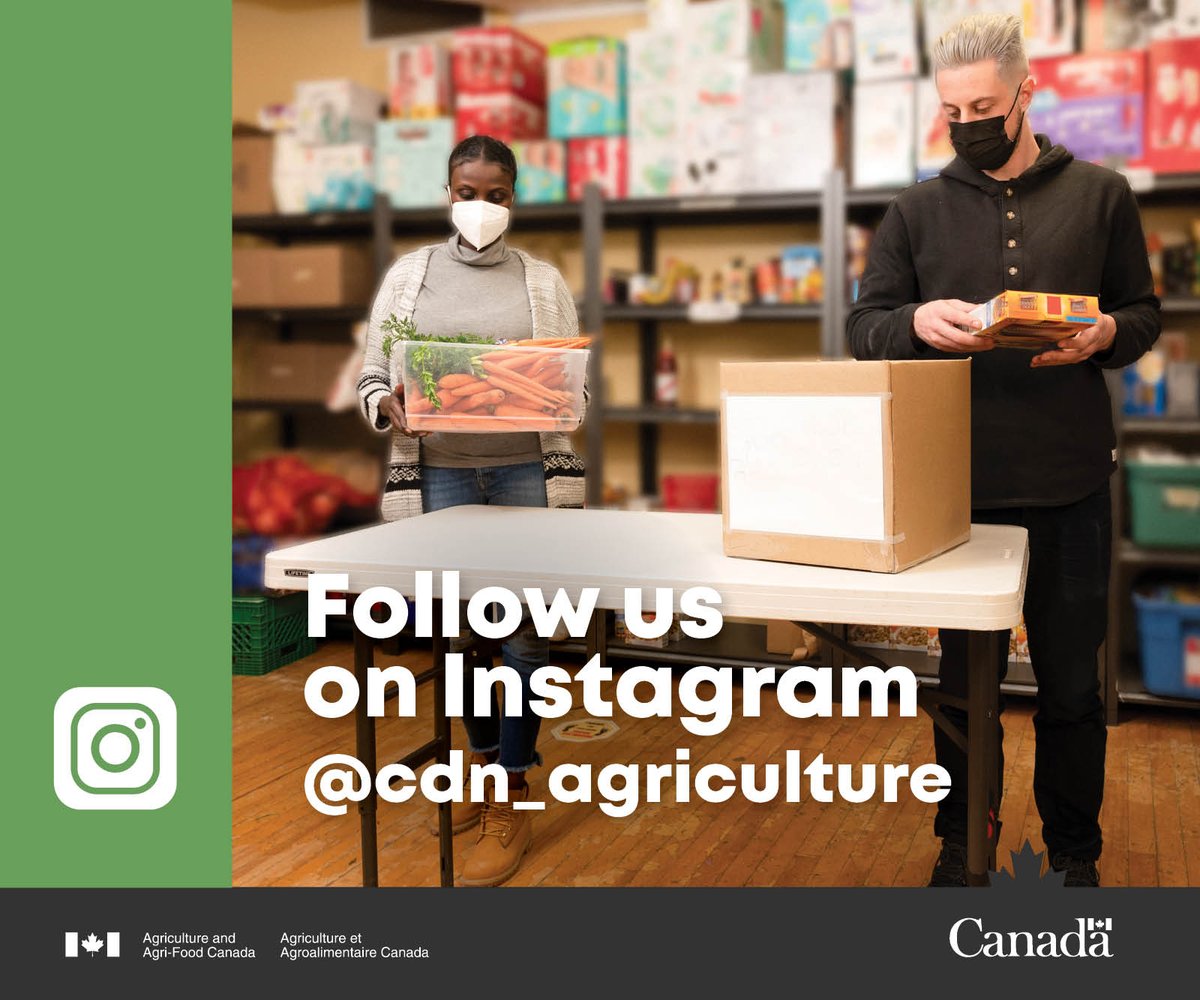 AAFC_Canada's tweet photo. We just launched an Instagram account! Follow us @cdn_agriculture to view #CdnAg from field to fork! 🌾🍽️ https://t.co/ZavgJPQLIf https://t.co/3oHDN6rmo0