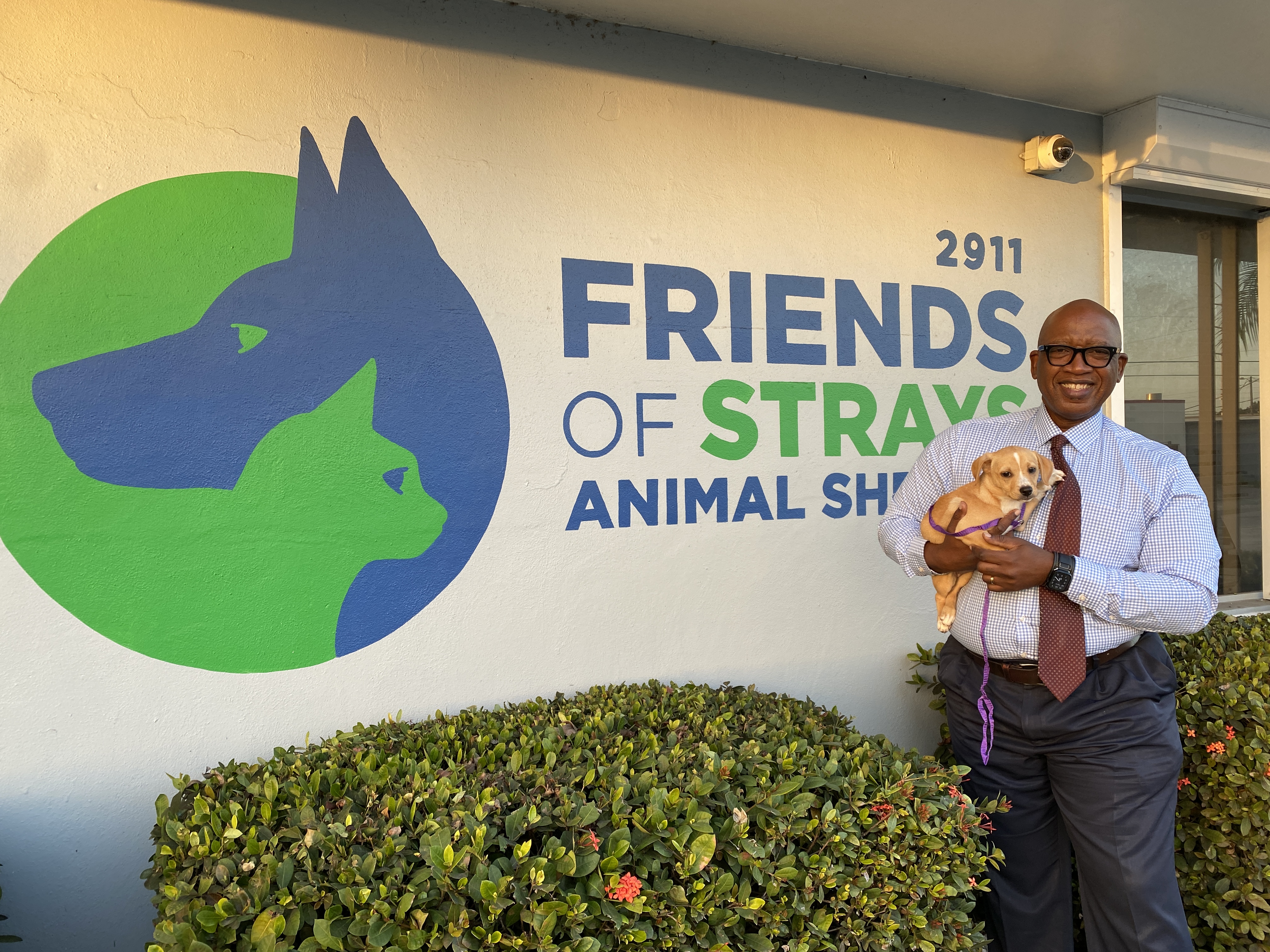 Friends of Strays friendsofstrays X