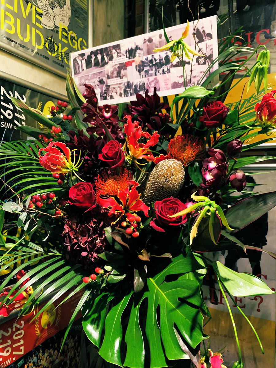 2年ぶりのライブ🎶
めっちゃ楽しかった❤️❤️❤️
やっぱりFREAKが大好きだ😆💕
また来週ってみんなに会えるのも嬉しい🎶
あと1回、全力で楽しむ❤️