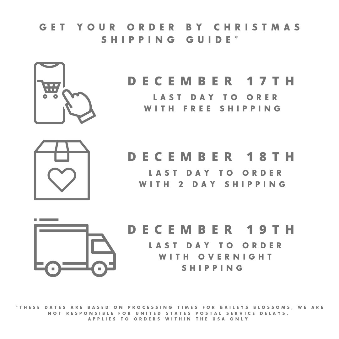 Wondering if your gifts will be delivered under your tree in time? Our shipping guide will help!