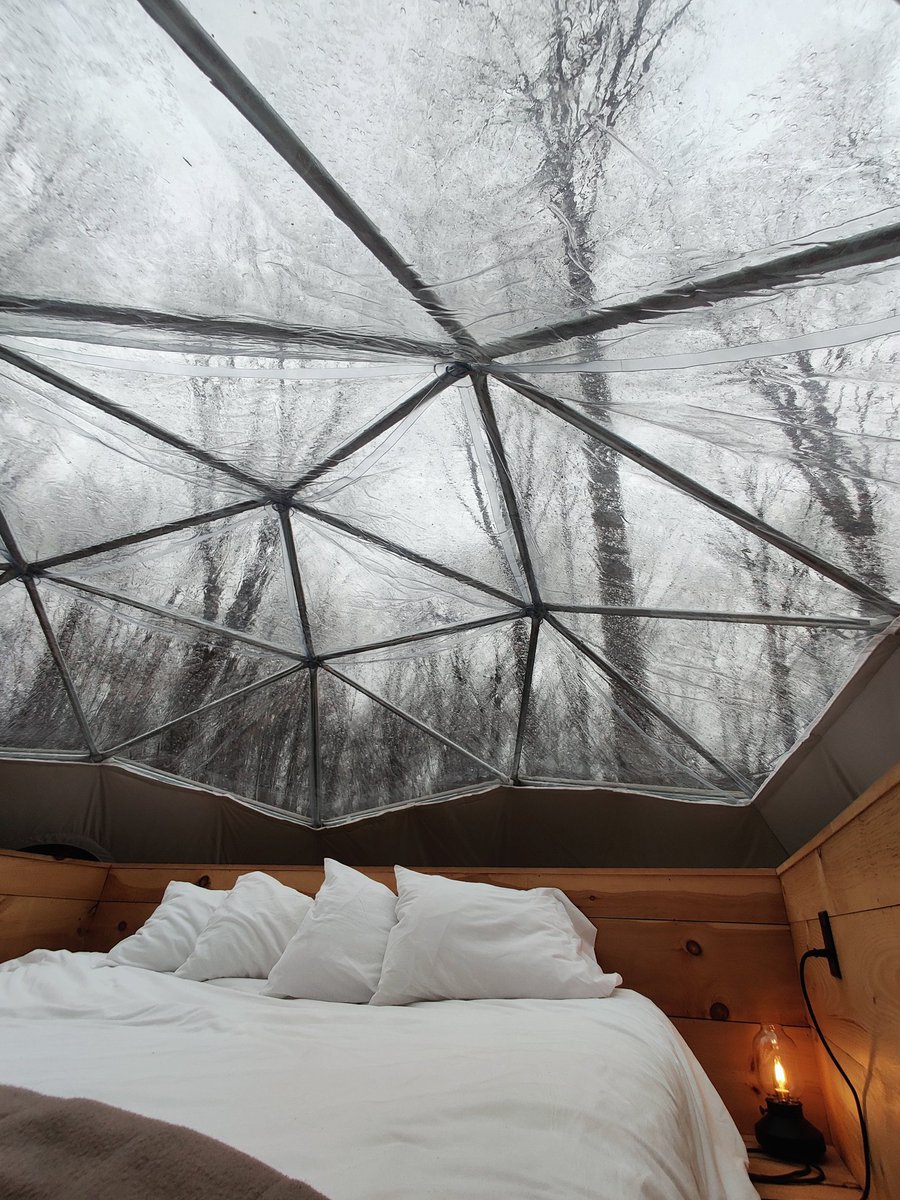 annie🦄⚡ | on break tweet media