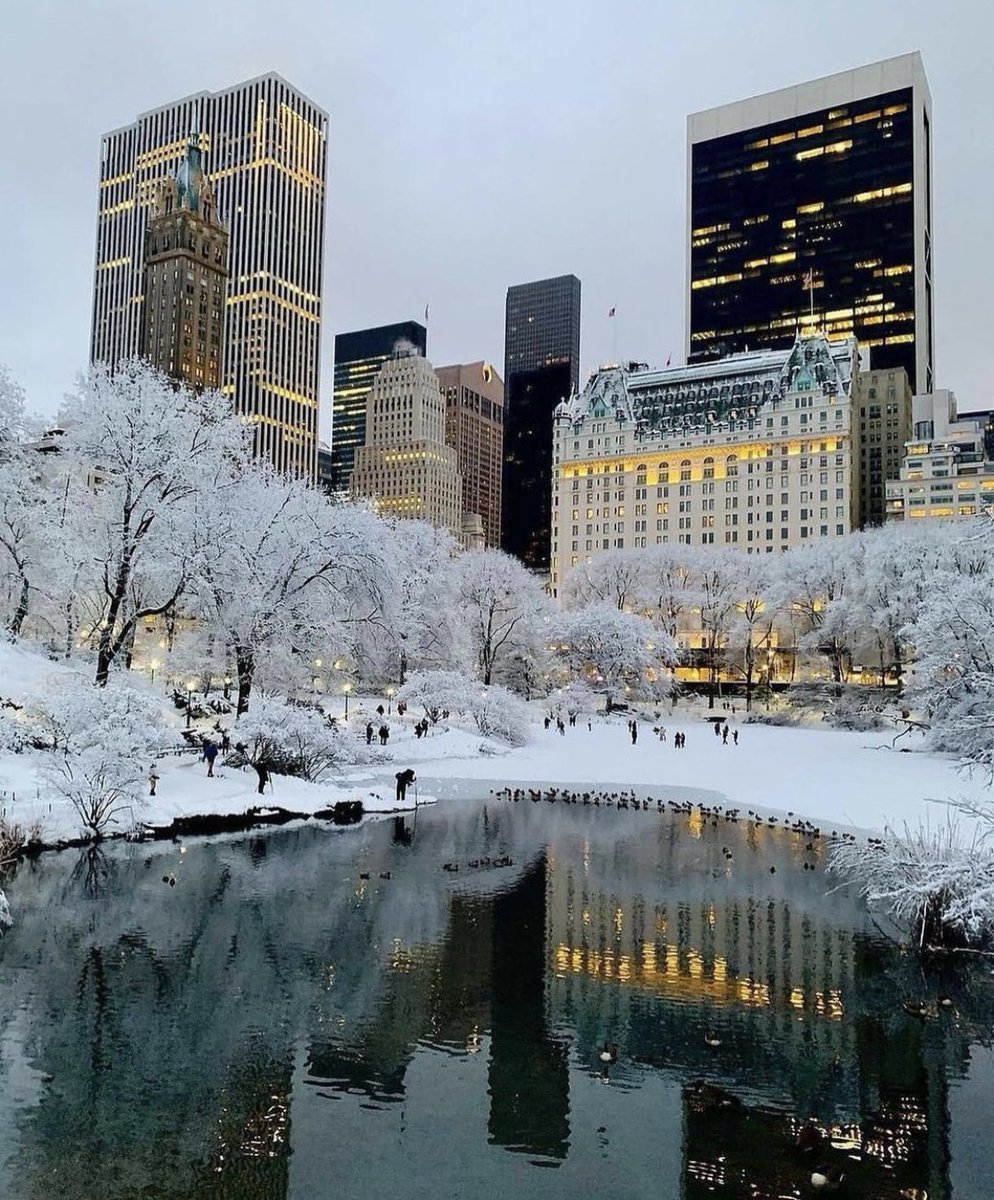 Winter in Central Park  in NYC 🌨❄️