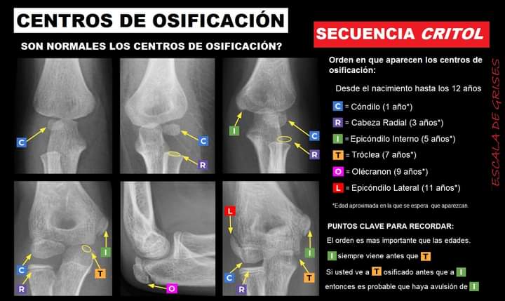 radiolog-acodopediatrico-hashtag-on-twitter