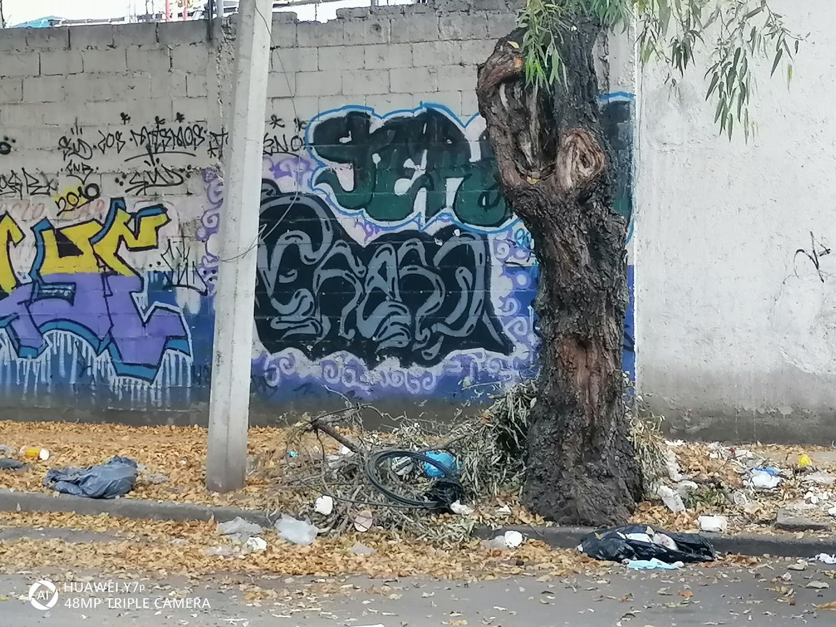 dfgs16217's tweet photo. @AzcapotzalcoMx #ElTrenDeServicios Por favor necesitamos en la colonia Del Gas que nos ayuden a limpiar, ya que la gente avienta la basura y los trabajadores de @totalplaymx dejan sus cables. #Azcapotzalco https://t.co/5eb95F5YDb
