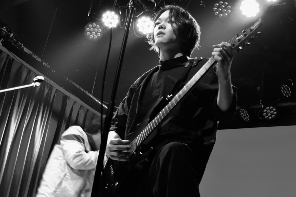 Acorn (@pontyo5) / Posts / X