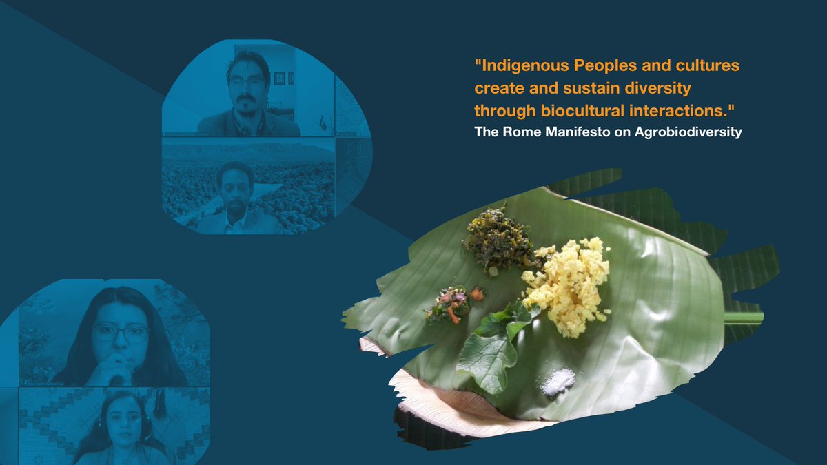 Alliance of Bioversity International and CIAT tweet media