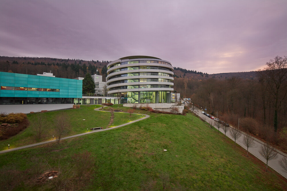 EMBL Events (@emblevents) on Twitter photo Looking to apply single-cell #transcriptome #sequencing and learn the basics of library preparation? Apply now for the course 'Gene expression at single-cell resolution' 👇 #EMBLscSeq <a href="/10xGenomics/">10x Genomics</a>
📅 4 - 8 Apr 2022
📍 Heidelberg
📥 Apply by 10 Jan
👉🏾 s.embl.org/scr22-01 Looking to apply single-cell #transcriptome #sequencing and learn the basics of library preparation? Apply now for the course 'Gene expression at single-cell resolution' 👇 #EMBLscSeq <a href="/10xGenomics/">10x Genomics</a>
📅 4 - 8 Apr 2022
📍 Heidelberg
📥 Apply by 10 Jan
👉🏾 s.embl.org/scr22-01